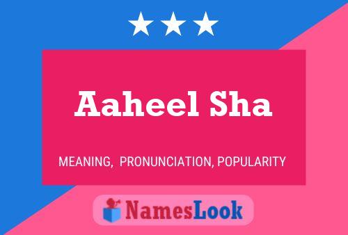 Aaheel Sha Name Poster