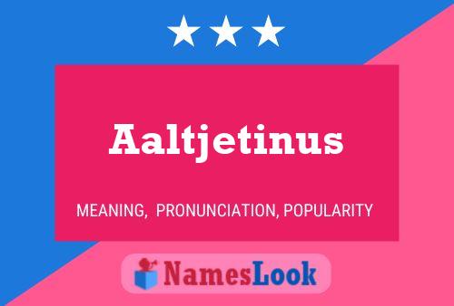 Aaltjetinus Name Poster