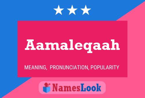 Aamaleqaah Name Poster