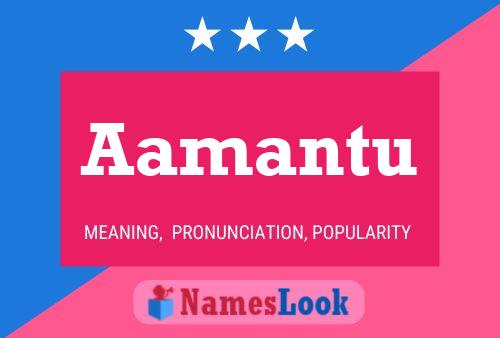 Aamantu Name Poster