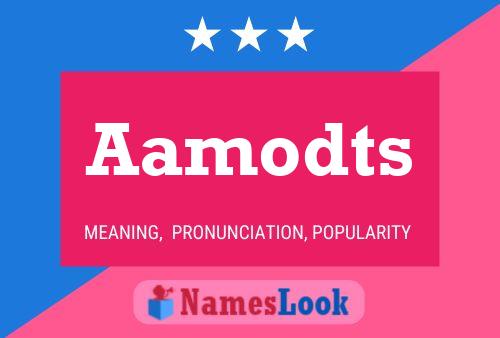 Aamodts Name Poster