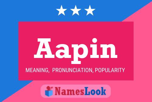 Aapin Name Poster