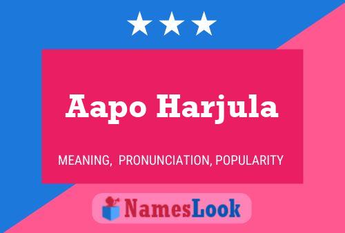 Aapo Harjula Name Poster