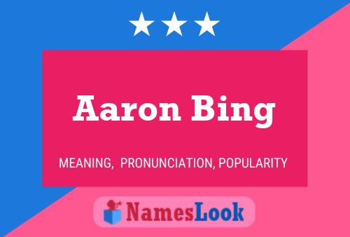 Aaron Bing Name Poster