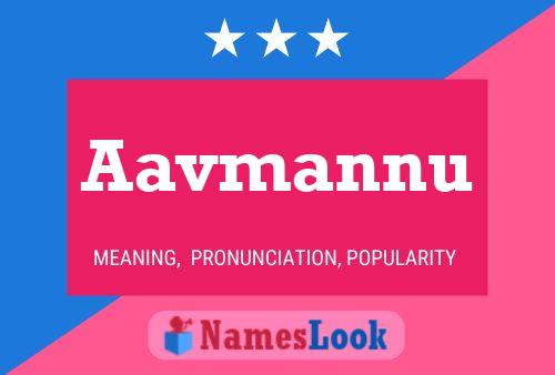 Aavmannu Name Poster