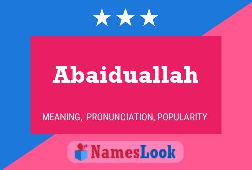 Abaiduallah Name Poster