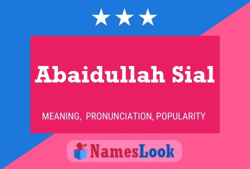 Abaidullah Sial Name Poster