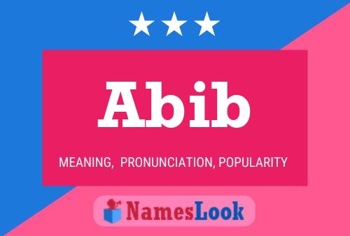 Abib Name Poster