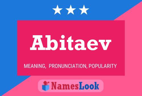 Abitaev Name Poster