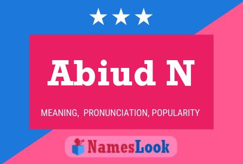 Abiud N Name Poster