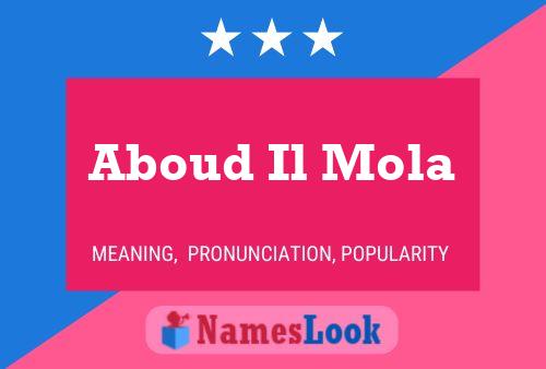 Aboud Il Mola Name Poster