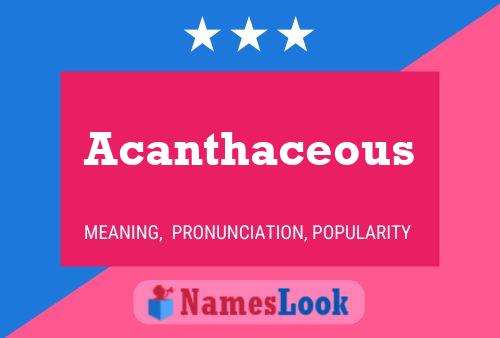 Acanthaceous Name Poster