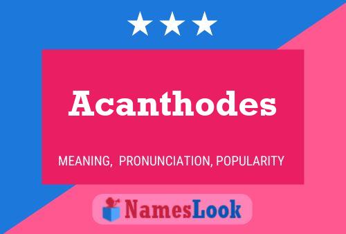 Acanthodes Name Poster