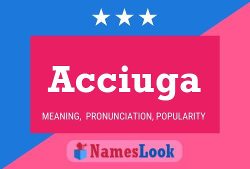 Acciuga Name Poster