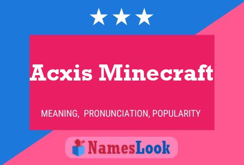 Acxis Minecraft Name Poster