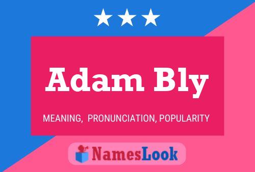 Adam Bly Name Poster