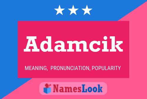 Adamcik Name Poster