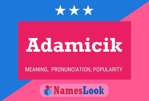 Adamicik Name Poster