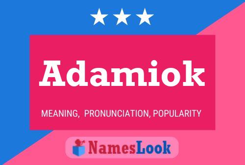 Adamiok Name Poster