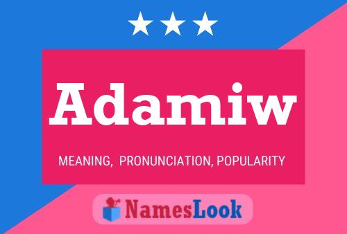 Adamiw Name Poster