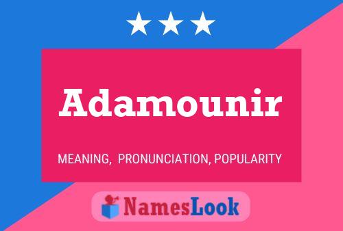 Adamounir Name Poster