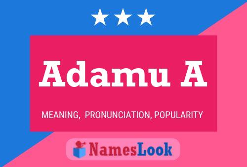 Adamu A Name Poster