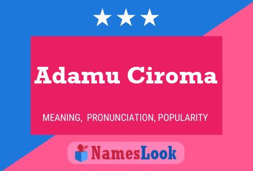 Adamu Ciroma Name Poster