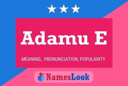 Adamu E Name Poster