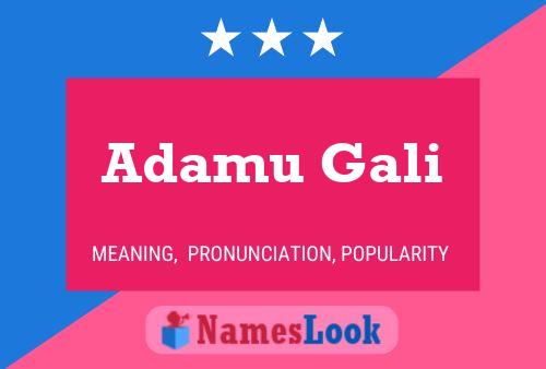 Adamu Gali Name Poster