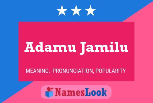 Adamu Jamilu Name Poster