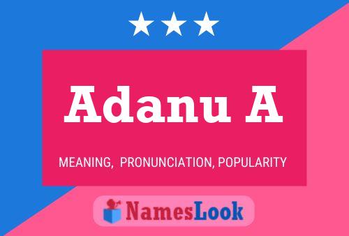 Adanu A Name Poster