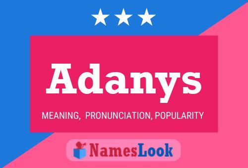 Adanys Name Poster