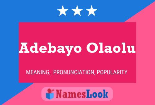 Adebayo Olaolu Name Poster