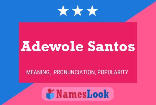 Adewole Santos Name Poster