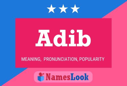 Adib Name Poster