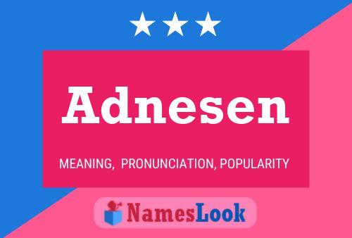 Adnesen Name Poster