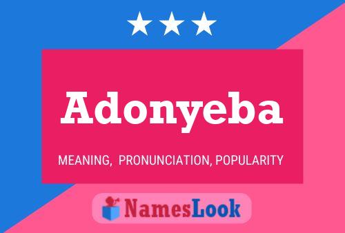 Adonyeba Name Poster