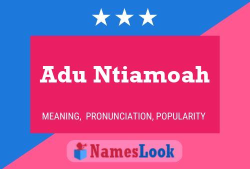 Adu Ntiamoah Name Poster