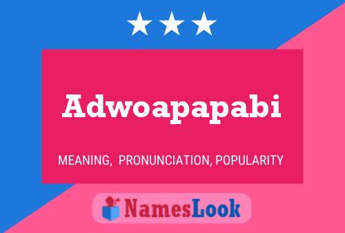 Adwoapapabi Name Poster