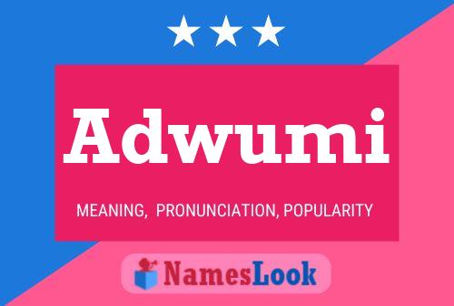 Adwumi Name Poster