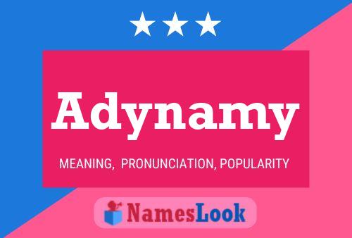 Adynamy Name Poster