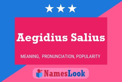 Aegidius Salius Name Poster