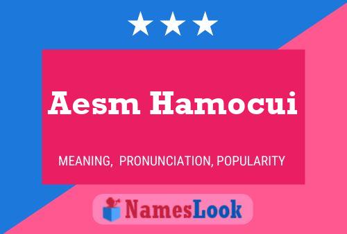 Aesm Hamocui Name Poster