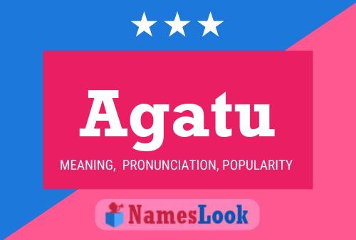 Agatu Name Poster