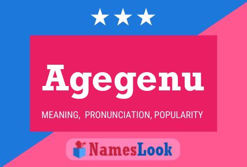 Agegenu Name Poster