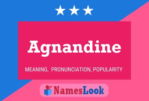 Agnandine Name Poster