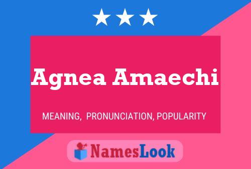 Agnea Amaechi Name Poster