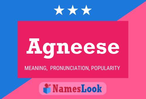 Agneese Name Poster