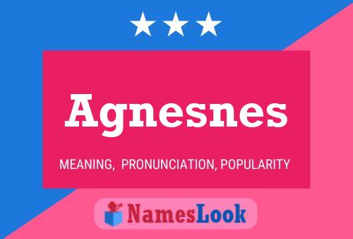 Agnesnes Name Poster