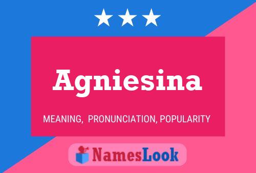 Agniesina Name Poster